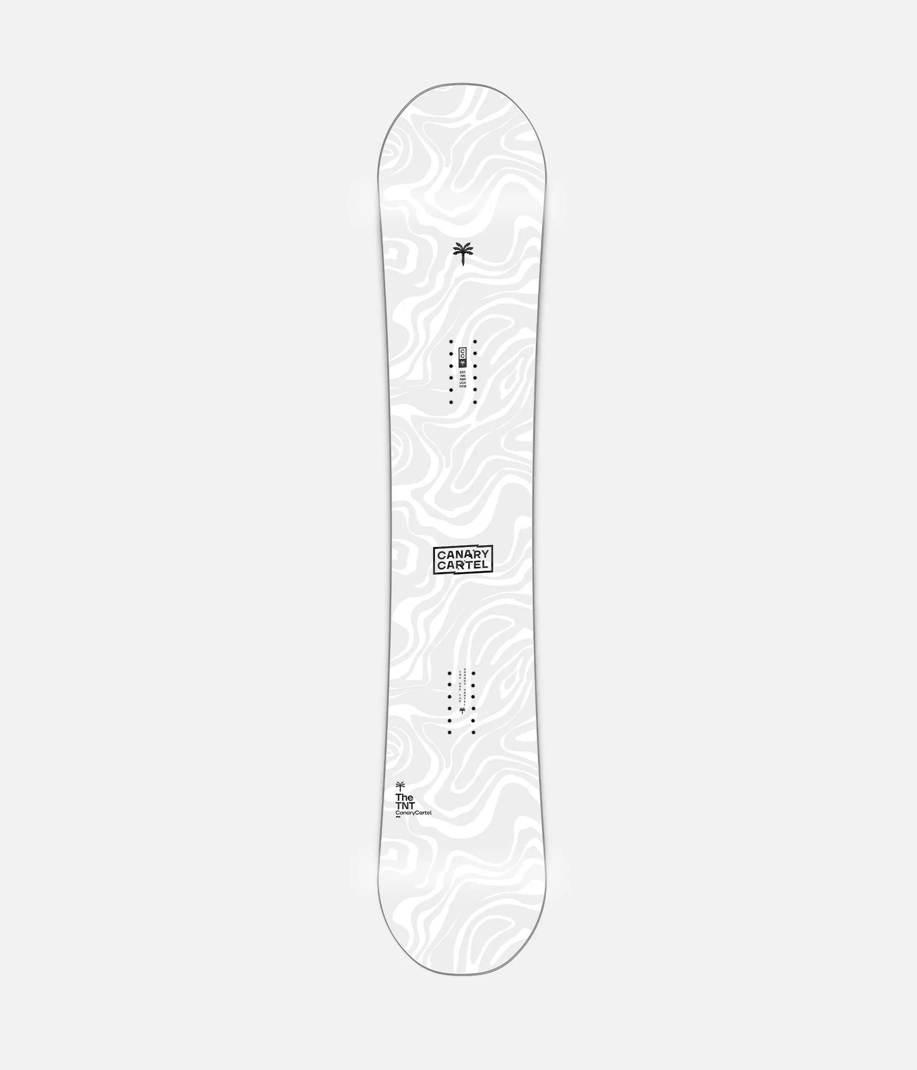 Snowboard