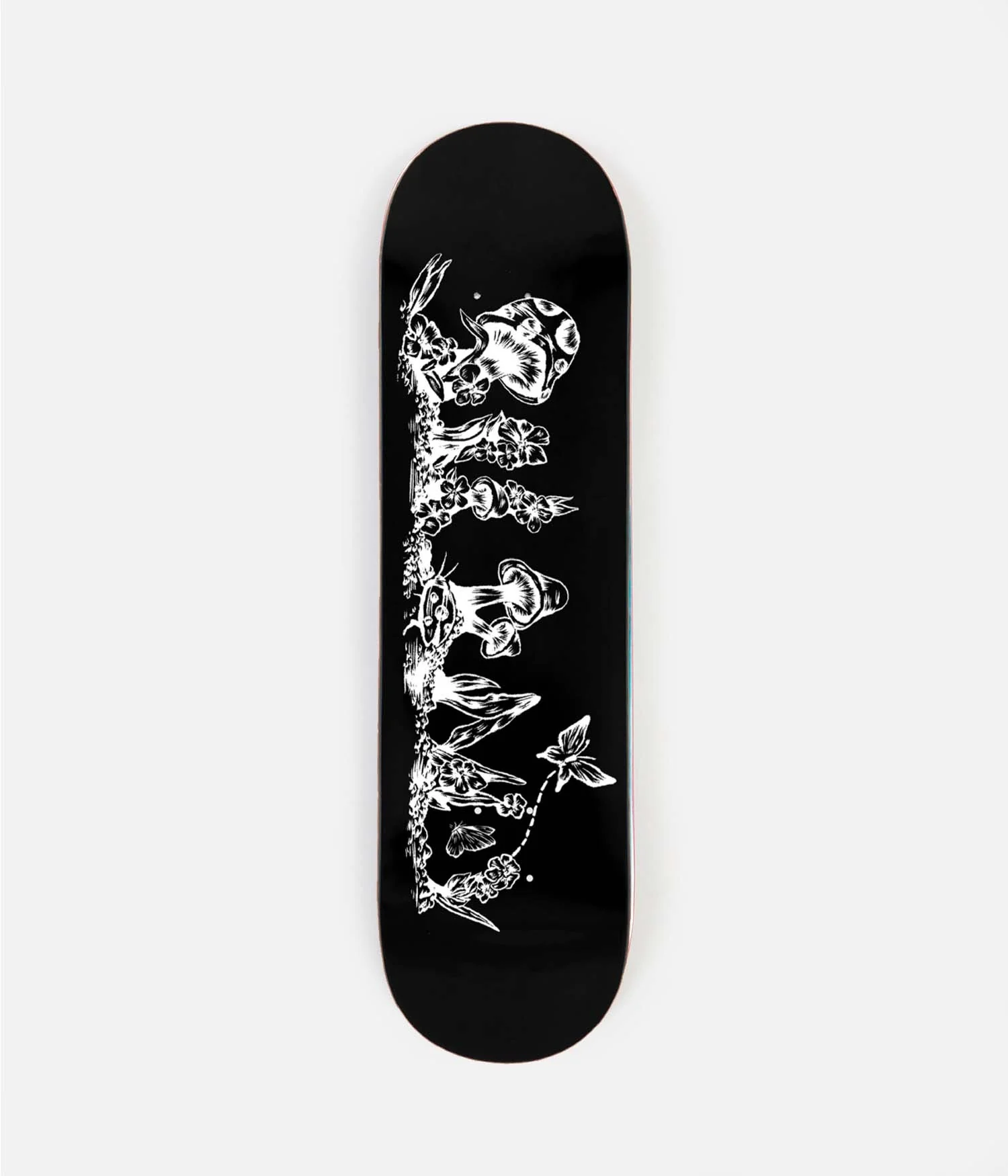 Floral 8.0"